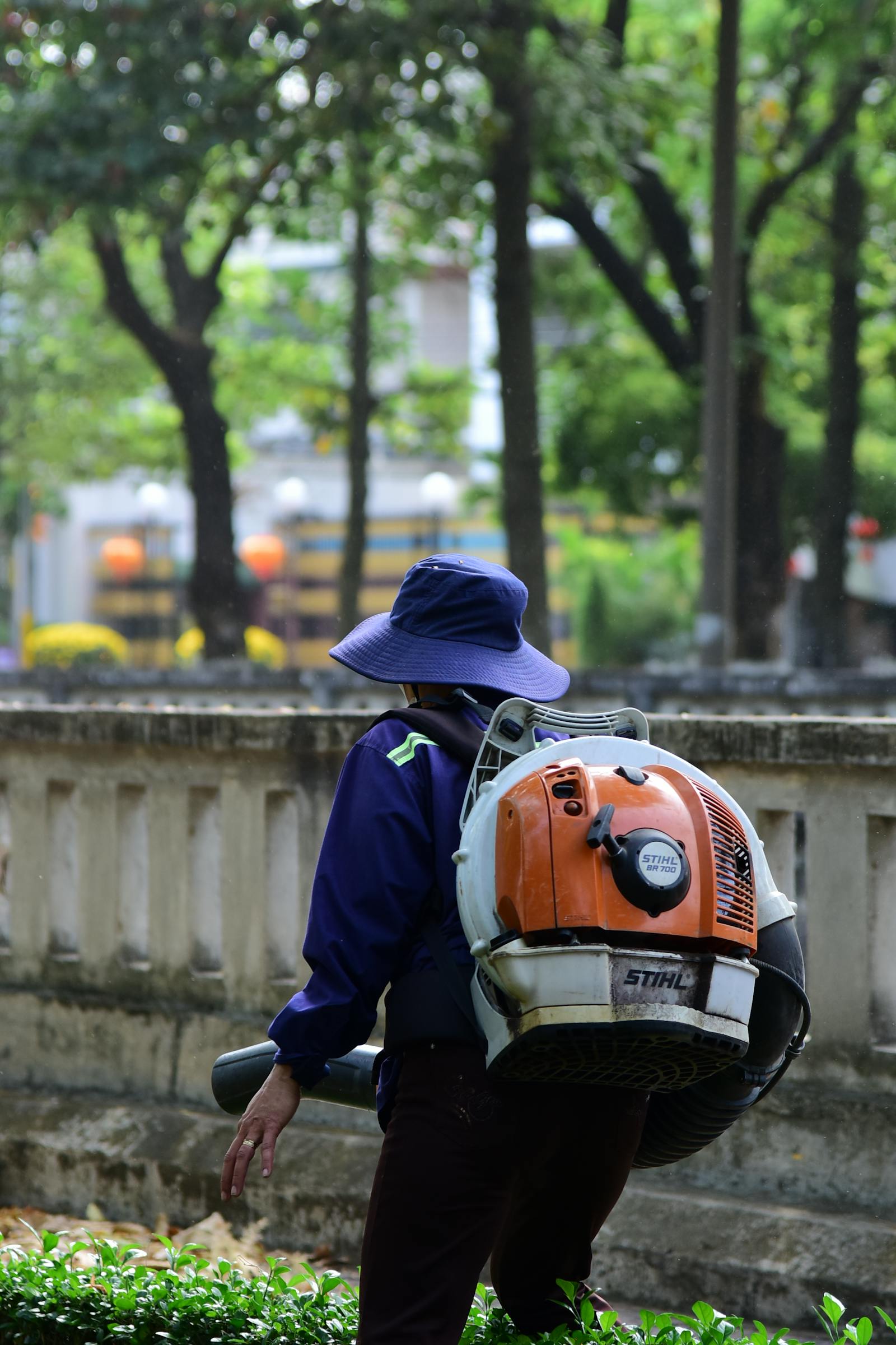 Backpack-blower clearing fall oak leaves into a tidy pile on a residential lawn.